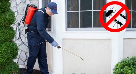 Mudanya Hamam Böceği İlaçlama böcek ilaçlama ve haşere kontrolü — ilaclama-tr.com